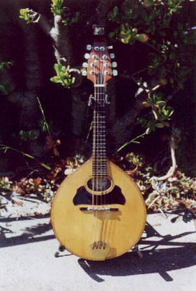The Acoustic Mandolin