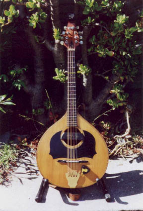 The Acoustic Mandola